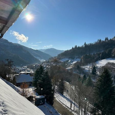 Bollenlodge - Ferienwohnung Mit Ausblick Und Top Lage Todtnau Exterior foto