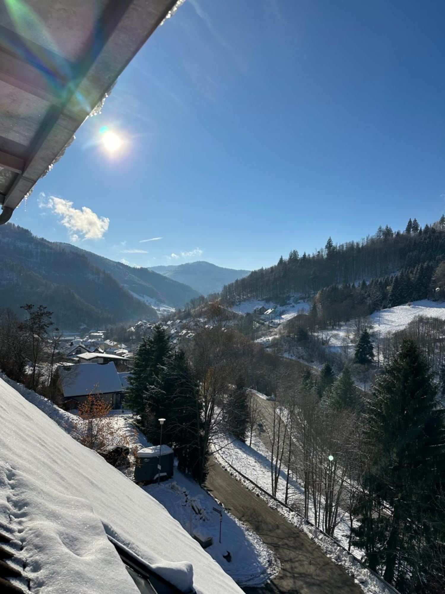Bollenlodge - Ferienwohnung Mit Ausblick Und Top Lage Todtnau Exterior foto